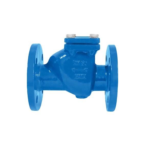 Swing Type Ductile Cast Iron Check Valve BS Standart BS5153